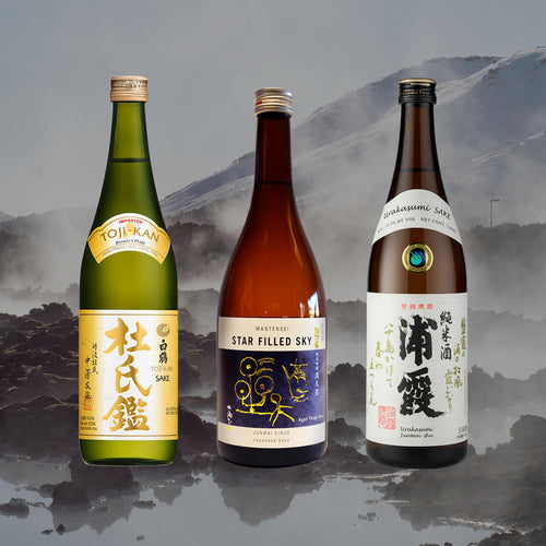 Hot Sake Set