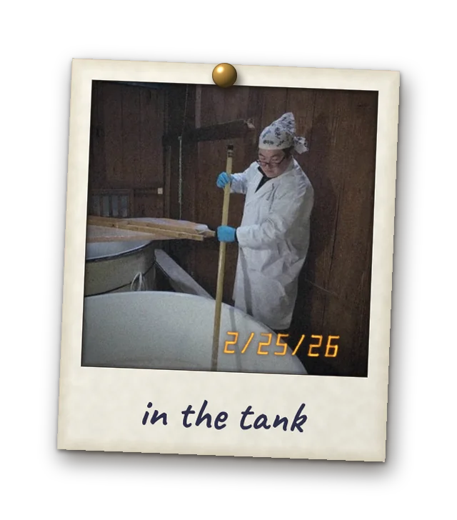 Polaroid pinned to the board with a brass tack: stirring the fermentation tank at Gonda Brewing Company. Date stamp 2/25/26. Handwritten: in the tank